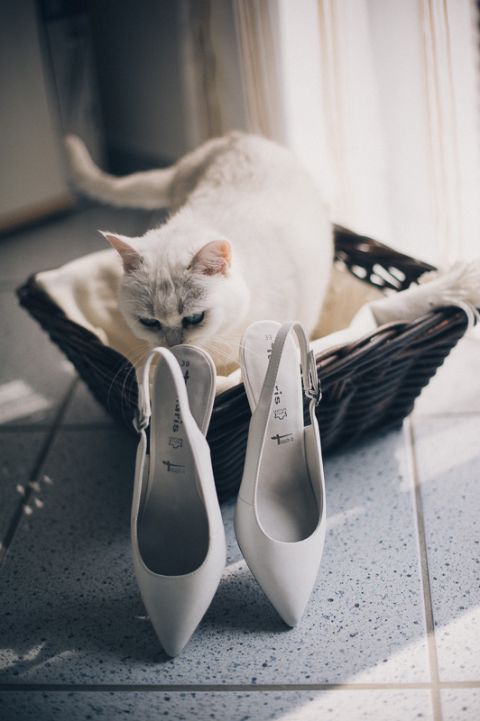 Hochzeitsfotograf Siegen Antonia & Markus Florin Miuti Fotografie_0026