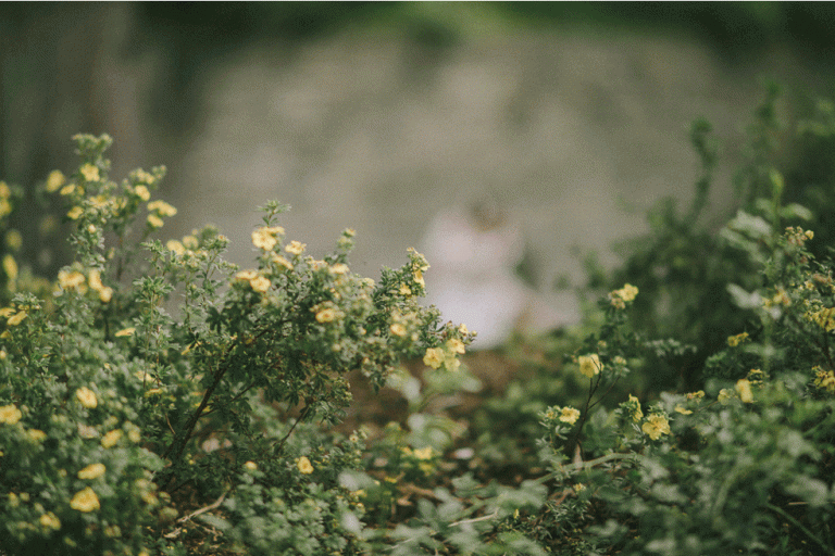 Sarah&Markus_Serie_1