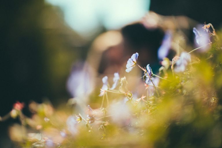 Fotoshooting K&J Dilenburg Hochzeitsfotograf Miuti_0014