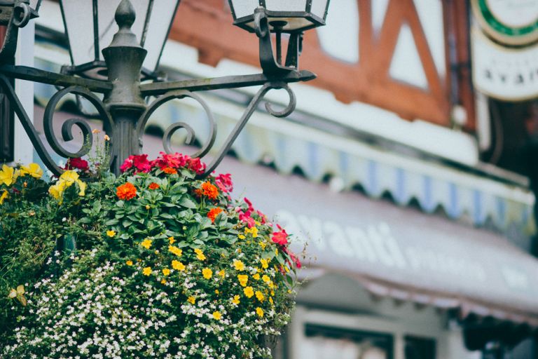 Fotoshooting K&J Dilenburg Hochzeitsfotograf Miuti_0073_1