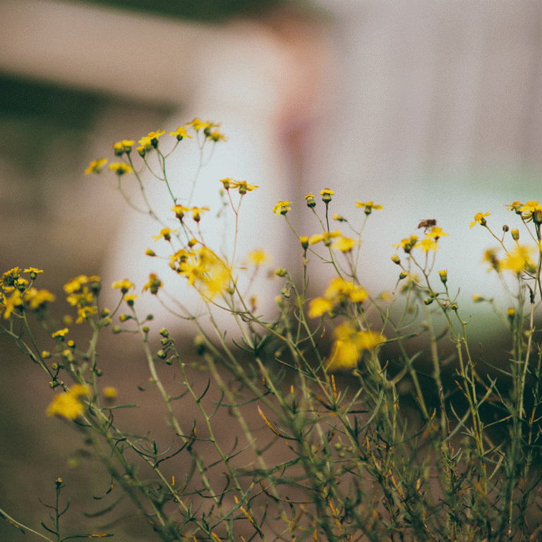 After-Wedding-Shooting D&F Siegen Hochzeitsfotograf Miuti_0012_1