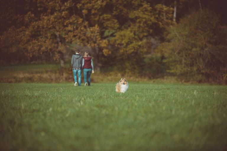Fotoshooting Siegen A&P Hochzeitsfotograf Miuti_0008