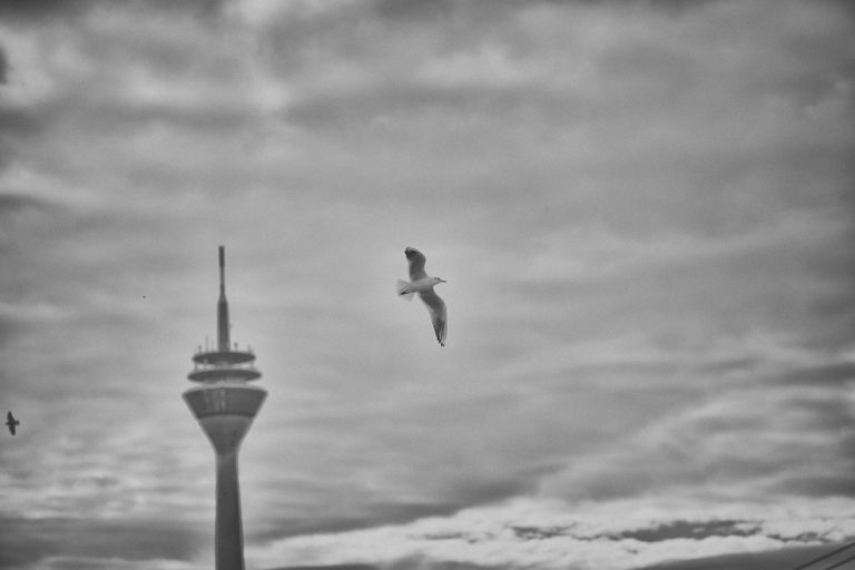 Hochzeitsfotograf Düsseldorf M&L by Florin Miuti (10)