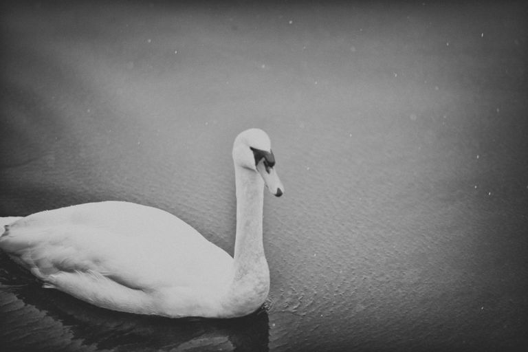 Fotoshooting E&T Olpe Hochzeitsfotograf Miuti_0015_1