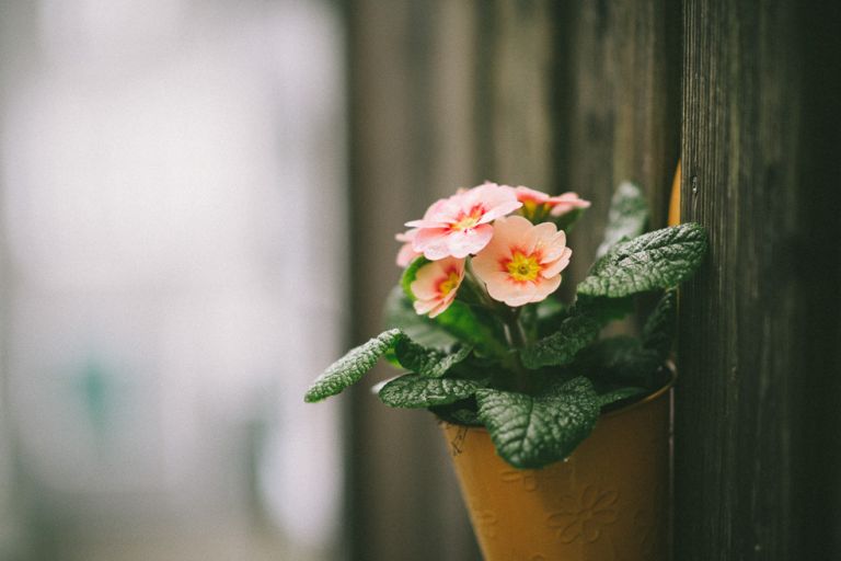 Hochzeitsfotograf_NRW_J&B_Florin Miuti (69)