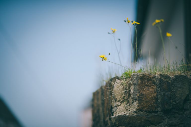 Hochzeitsshooting Siegen L&J byFlorinMiuti (31)