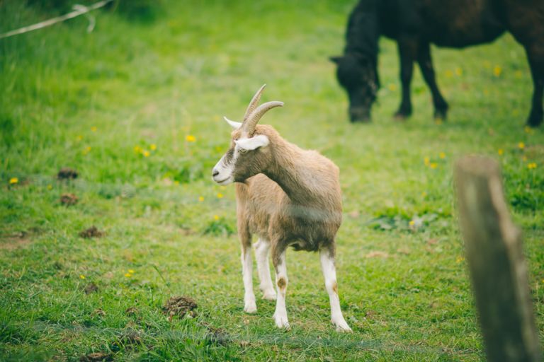 Hochzeitsreportage NRW A&D byFlorinMiuti (30)