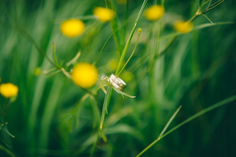 Hochzeitsreportage NRW A&D byFlorinMiuti (31)