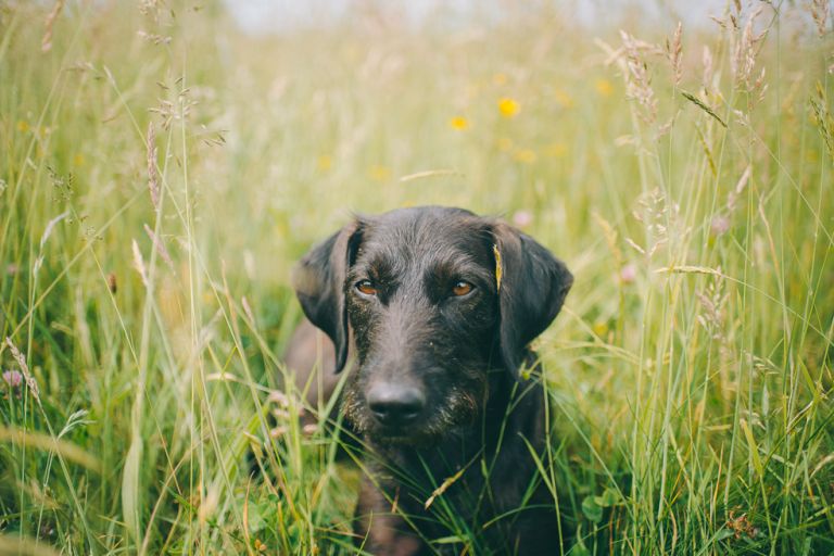 Familienshooting Siegen Jannis byFlorinMiuti (12)