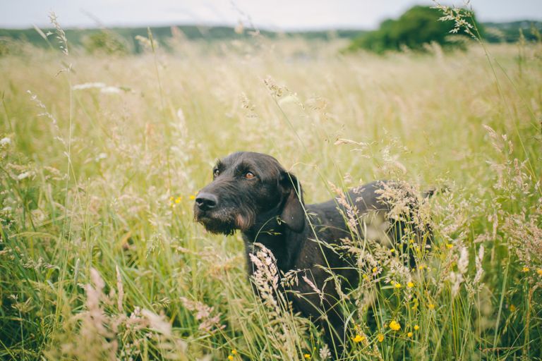 Familienshooting Siegen Jannis byFlorinMiuti (17)