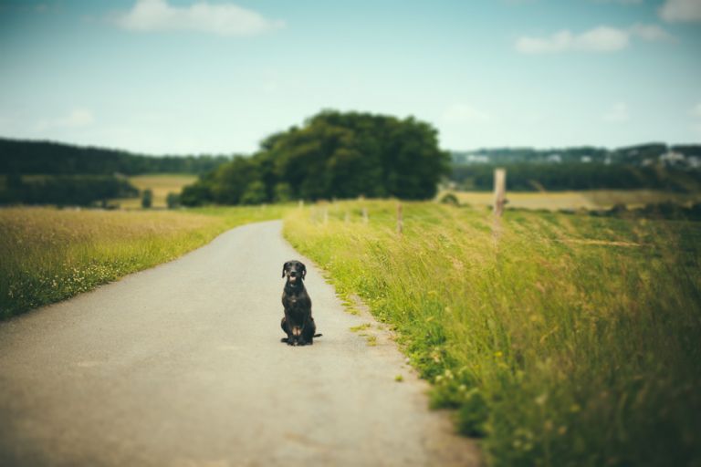 Familienshooting Siegen Jannis byFlorinMiuti (32)