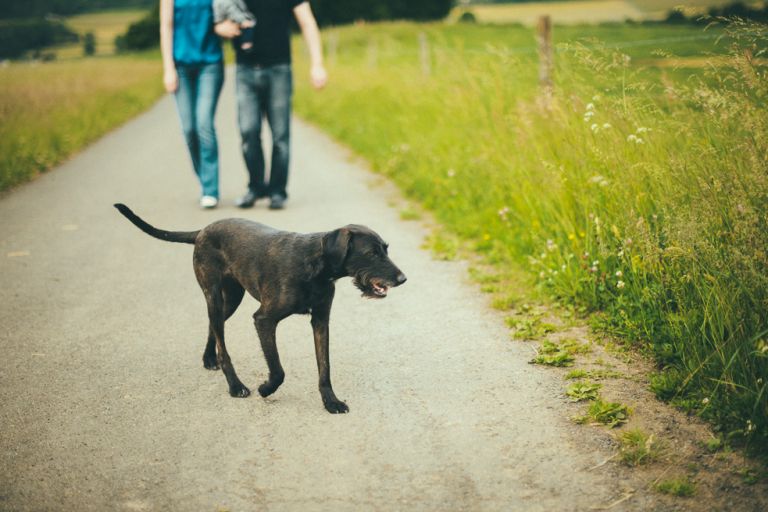 Familienshooting Siegen Jannis byFlorinMiuti (35)