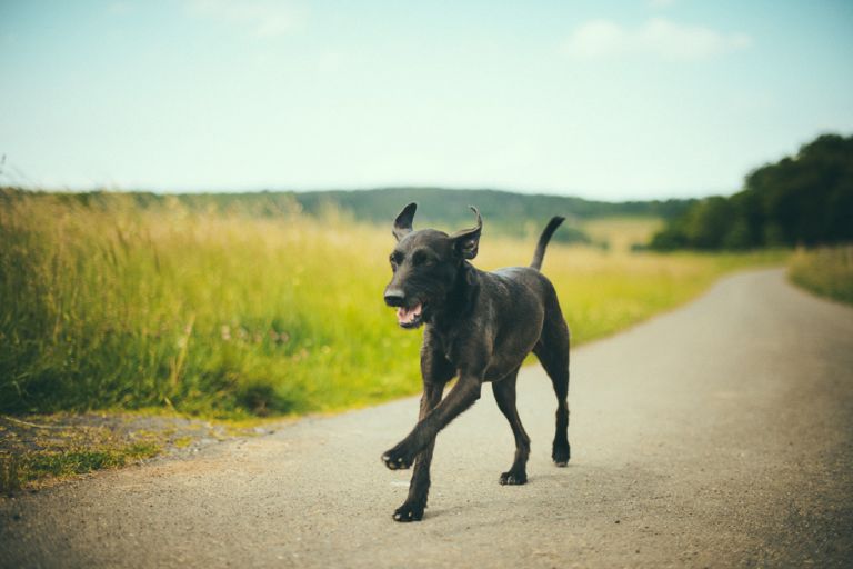 Familienshooting Siegen Jannis byFlorinMiuti (39)